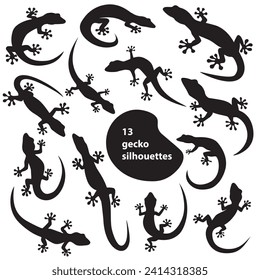 Editable vector 13 gecko silhouettes. Set collection isolated black on white background