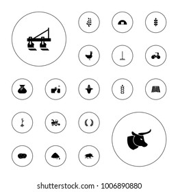 Editable vector agriculture icons: wheat, corn, tractor, ground heap, sprout, olive branch, landscape, field, chicken, potato, hog, cow, sack, plant, rake on white background.