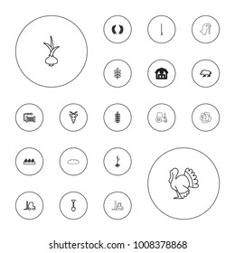 Editable vector agriculture icons: wheat, hog, goat, shovel, tractor, plant, hoe, water hose, sprout plants, sprout, olive branch, turkey, onion, cabbage on white background.