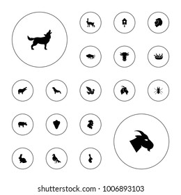 Editable vector animal icons: cow, animal fang, rabbit, hippopotamus, goat, buffalo, rooster, beetle, seal, chicken leg, lion, dove, wolf, bird on white background.