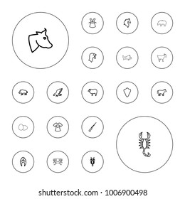 Editable vector animal icons: cow, turkey, fish, animal fang, hog, eagle, crab, horse, sheep, magic hat, t-shirt with heart, hundting gun, egg, bear on white background.