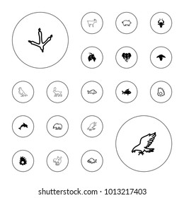 Editable vector animal icons: dolphin, extinct sea creature, pig, fish, bear, eagle, footprint of  icobird, goat, bull, elephant, hippopotamus, dove on white background.
