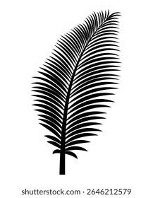 Editable Vector Brush of Stylized Tropical Leaf. Discrete vector brush of a tropical palm leaf created for Adobe Illustrator with clean isolated strokes and scalable design