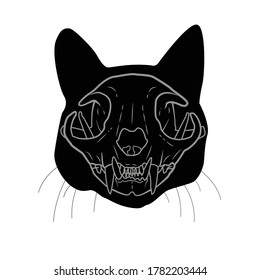 Editable Vector Cat Skull Head Anatomy With Outlines Shadow And Whiskers