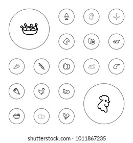 Editable vector chicken icons: chicken, egg, rooster, chicken leg, meat leg, kebab, easter egg, food, meat on white background.