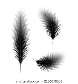 Editable vector clipart of birds feathers. EPS10
