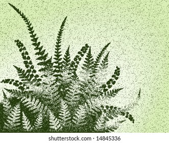 Editable vector design of fern leaves and grunge