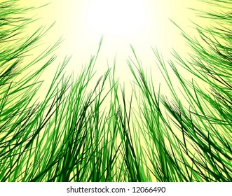 Editable vector design looking up through rough grass