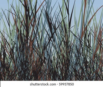 Editable vector design of tall rough grass