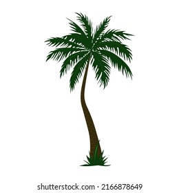 Editable vector element of the palm tree. EPS10