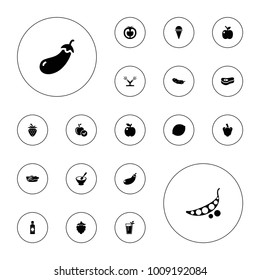 Editable vector fresh icons: eggplant, apple, ice cream, cucumber, pie, tomato, cocktail, meat, watering system, mulberry, porridge, bottle, strawberry on white background.
