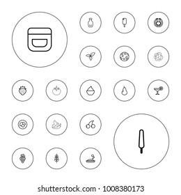 Editable vector fresh icons: leaf, strawberry, pear, grape, cream, cherry, soap, ice cream, ice cream on stick, milkshake, tomato, plant, bottle, cocktail on white background.