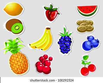 Editable vector fruits on grey background