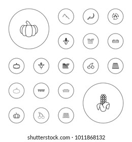 Editable vector harvest icons: field, harvest, barn, pumpkin, corn, scarecrow, cherry, plowing tool on white background.
