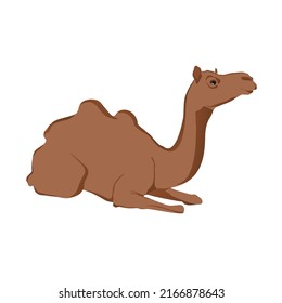 Editable vector illustration of the camel. EPS10