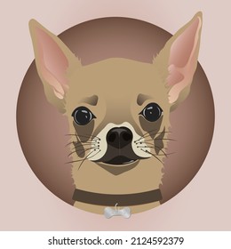 Editable vector illustration of chihuahua dog in EPS10.