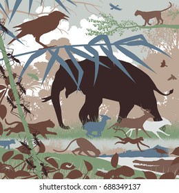 Editable vector illustration of diverse asian wildlife in natural habitat 