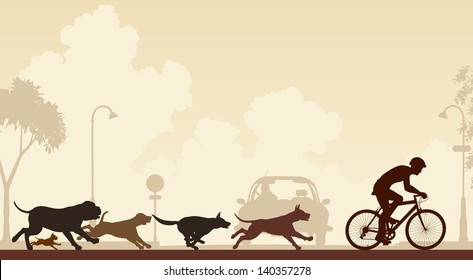 Editable vector illustration of dogs chasing a cyclist along a street