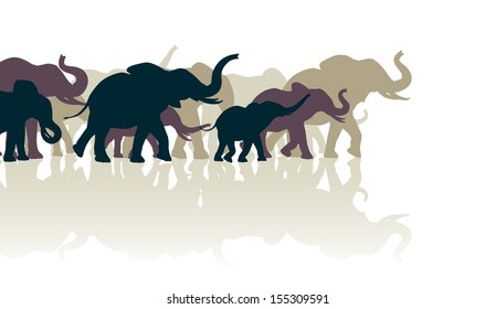 Editable vector illustration of an elephant herd with reflections