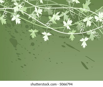 Editable vector illustration of a generic vine bush