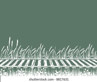 Editable vector illustration of grassy railway tracks