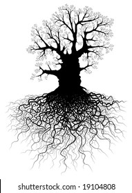 Editable vector illustration of a leafless oak tree with root system