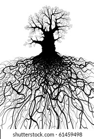 Editable vector illustration of a leafless oak tree with root system