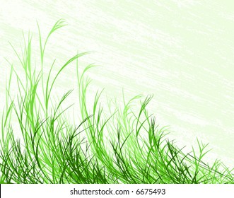 Editable Vector Illustration Of Long Grass With Grunge Background On Separate Layer