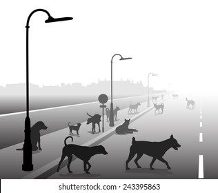 Editable vector illustration of a motley group of stray dogs on a lonely road