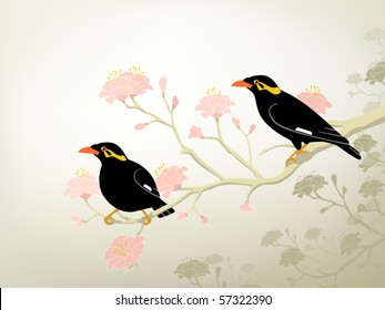 Editable vector illustration of a pair of endangered hill myna birds