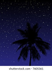 Editable vector illustration of a palm tree under the stars at night