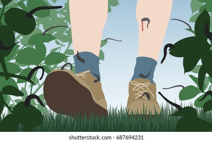 Ilustración vectorial editable de una persona caminando por la vegetación con muchas sanguijuelas esperando una comida 