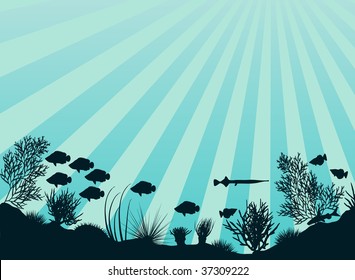 Editable vector illustration of an underwater coral reef scene