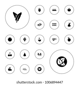 Editable vector leaf icons: leaf, orange, apple, spinach, tree, family footprint, sprout plants, greenohuse, plant, bouquet flower, pear, cherry on white background.