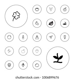 Editable vector leaf icons: plant, plant on hand, orange, apple, mulberry, corn, oil, clover, rose, leaf, tree on white background.