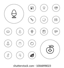 Editable vector natural icons: pear, apple, tree, lotus, bread, family footprint, garden tools, gazebo, apple download, plant, pregnant woman, bottle on white background.
