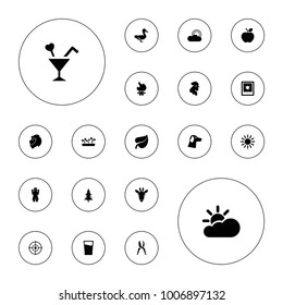 Editable vector nature icons: bear, rooster, wolf, cocktail, sun, dna, photo, drink, sun cloud, giraffe, lion, goose, leaf, bonfire, garden tools on white background.