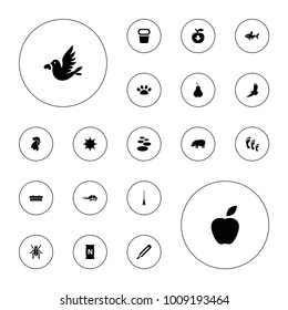 Editable vector nature icons: eagle, pig, spa stone, apple, rake, bag with ground, themometer, apple download, love bird, paw, sun, barn, pear, alligator on white background.
