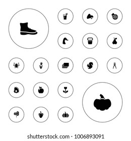 Editable vector nature icons: pepper, goose, apple, boot, pumpkin, flower, global home, cocktail, extinct sea creature, squirrel, beetle, photos, bouquet on white background.