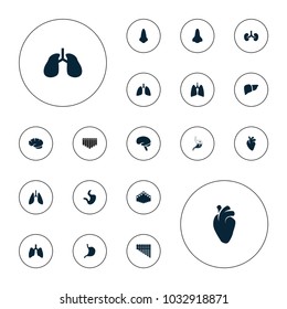 Editable vector organ icons: nose, lungs, stomach, liver, heart organ, brain, harmonica on white background.