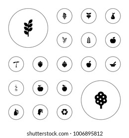 Editable vector organic icons: plant, bowl, turkey, apple, tree, pear, recycle, strawberry, wheat, milk can, mulberry, grape, beet, deel on white background.