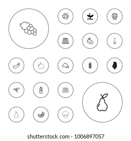 Editable vector organic icons: plant, field, mulberry, banana, apple, pear, ground heap, aubergine, recycle, energetic drink, mushroom, oil, grape on white background.