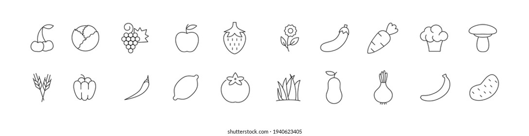 Editable vector pack of vegetarian food line icons. Trendy stroke signs for website, apps and UI. Premium set of vegeterian food thin line icons.