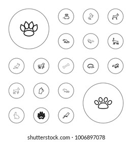 Editable vector pet icons: horse, hedgehog, dog, mouse, parrot, rabbit, mouse toy, paw, cat on white background.