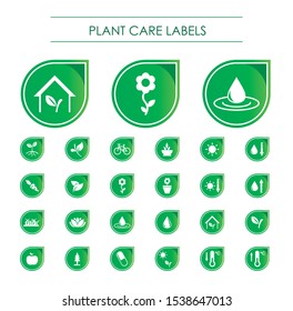 Editable vector Plant care pictograms. Icons of plant growth.