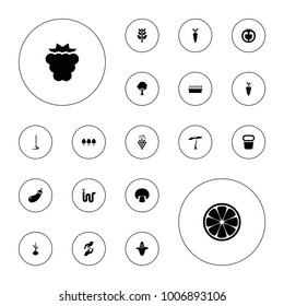 Editable vector plant icons: plant, mulberry, grape, eggplant, corn, water hose, plant in pot, tree, carrot, tomato, mushroom, onion, hand with seeds, hoe on white background.