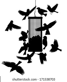 Siluetas vectoriales editables de aves en un alimentador colgante con todas las aves como objetos separados