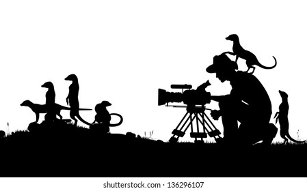 Editable vector silhouettes of a cameraman filming meerkats with all elements as separate objects