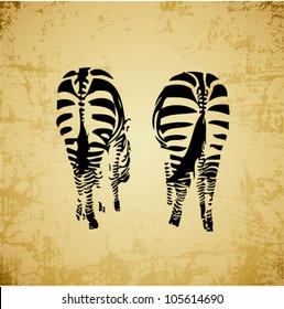Editable vector vintage illustration of two zebras