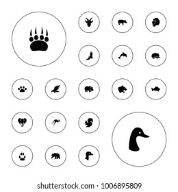 Editable vector wild icons: goose, bear, eagle, panther, elephant, animal paw, fish, paw, dolphin, lion, hedgehog, squirrel, kangaroo, hippopotamus on white background.